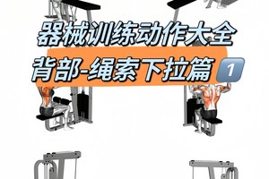 如何利用篮球训练器材进行康复训练:专业指南与实用建议